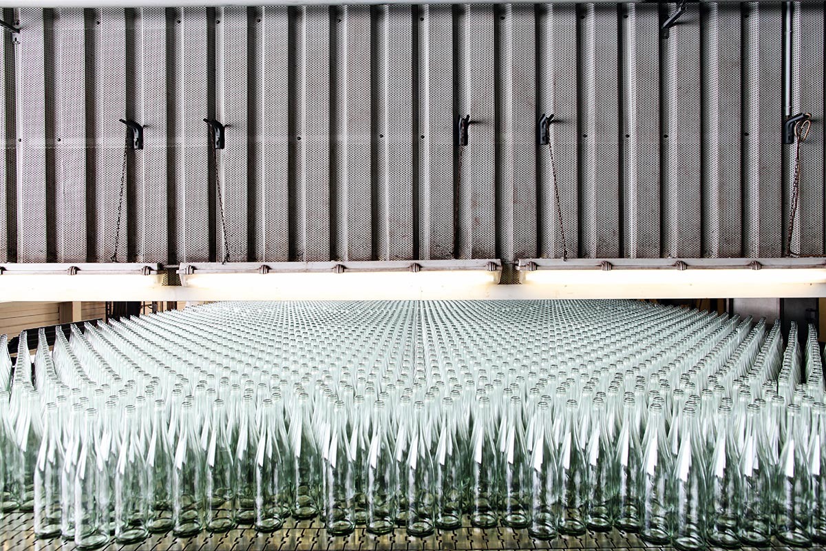 Hunderte fertige Glasflaschen laufen nebeneinander aufgereiht auf einem Förderband aus der Produktion.