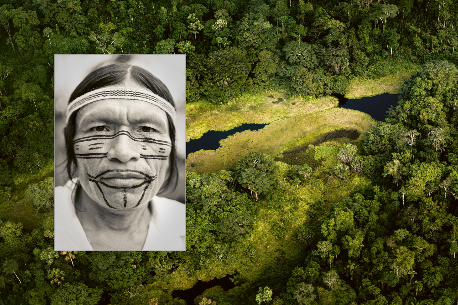 Fotocollage: Das Portrait eines indigenen Mann mit Gesichtbemalung auf einer Luftaufnahme des ecuadorianischen Regenwaldes mit Bäumen und einem sichtbaren Flussdelta.